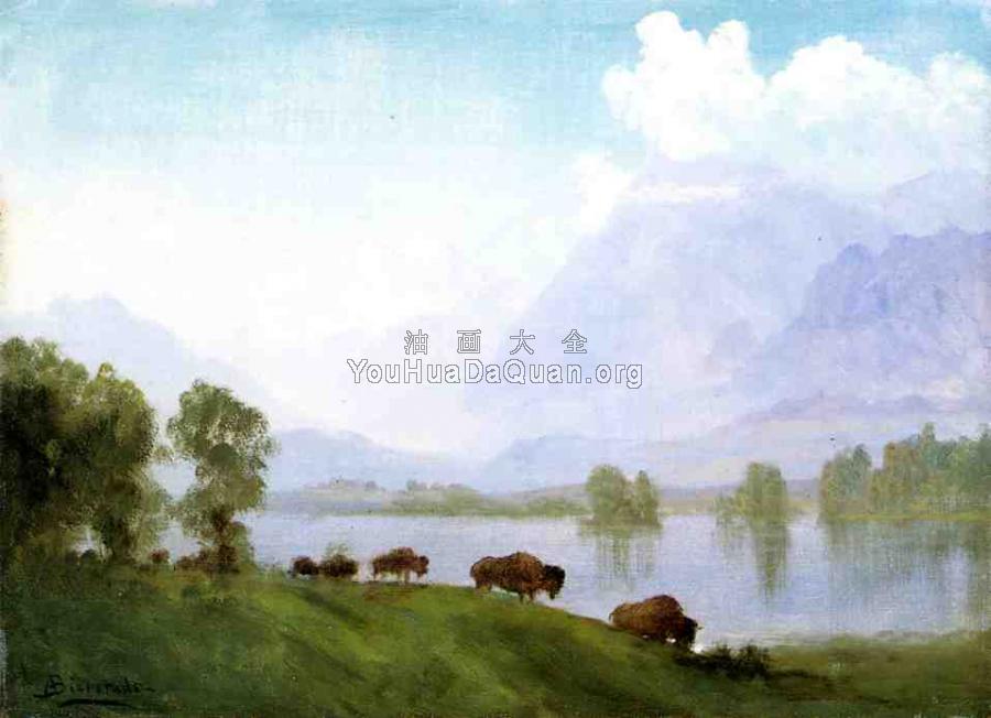 Buffalo Country - 阿尔伯特·比尔施塔特
